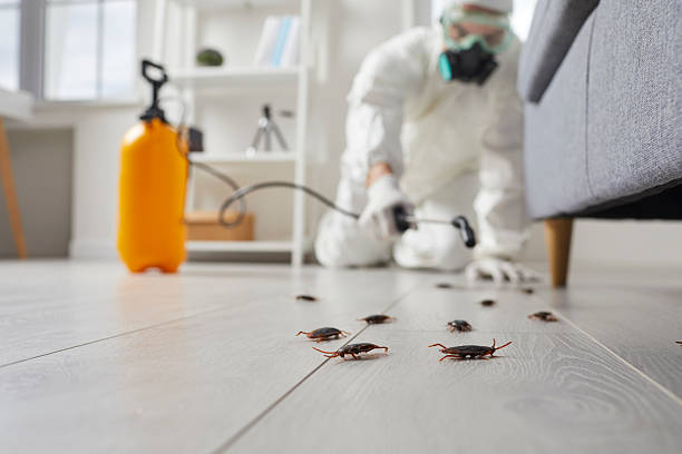 Commercial Kitchen Cockroach Control in Viroqua